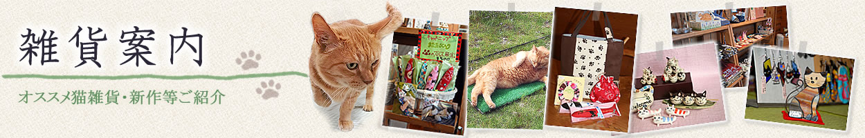 G݈ēFIXXLG݁EV쓙Љ