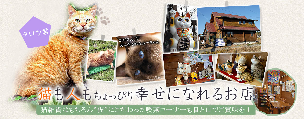 LG݂͂gLhɂiR[i[ڂƌłܖI